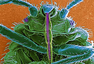 Switch《前线任务1st：重制版》支持中文容量5.2G